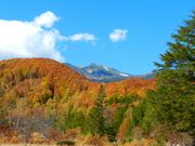 SGさんの一ノ瀬園地の投稿写真1