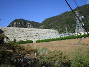 いわぴいさんの南原ダムの投稿写真2