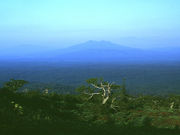 山里親父さんの藻琴山の投稿写真1