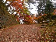 たけるさんの城山公園(岐阜県高山市)の投稿写真1