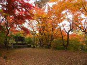 たけるさんの城山公園(岐阜県高山市)の投稿写真2