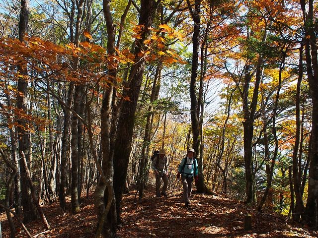 岳さんの熊伏山の投稿写真1