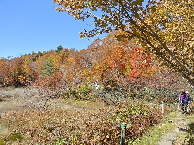 岳さんの天生峠の投稿写真1