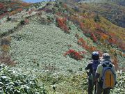 岳さんの川上岳の投稿写真3