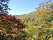 岳さんの川上岳の投稿写真4