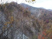 岳さんの熊伏山の投稿写真2