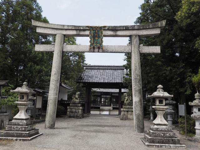 sklfhさんの老杉神社の投稿写真1