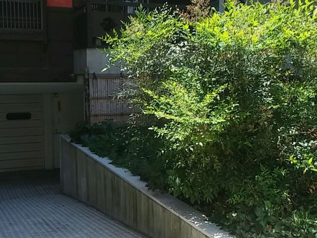 鳥元 市ヶ谷店
