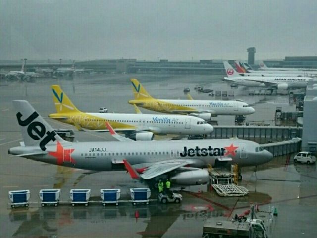 成田空港_さくらの山