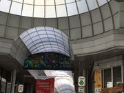 にゃうねこさんの川端通商店街の投稿写真1