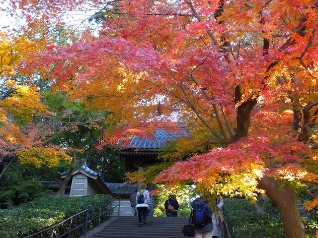 円覚寺(神奈川県鎌倉市)