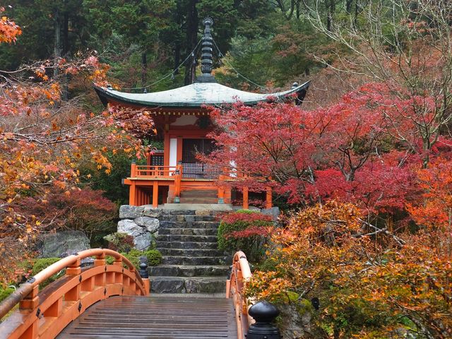 醍醐寺