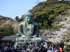 高徳院(鎌倉大仏)の写真1