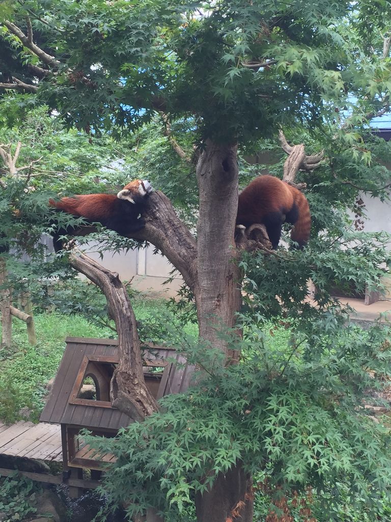市川市動植物園
