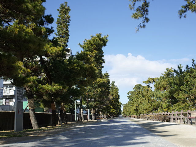 草加松原遊歩道