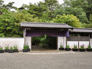 タックさんの修善寺虹の郷花しょうぶ園の投稿写真1