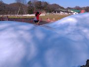 ぶんさんのこどもの国の投稿写真2