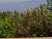 鷹さんの崖の湯温泉の投稿写真1