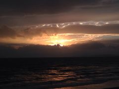 新江ノ島水族館の写真2