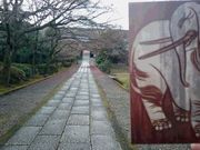 トシちゃんさんの養源院の投稿写真2