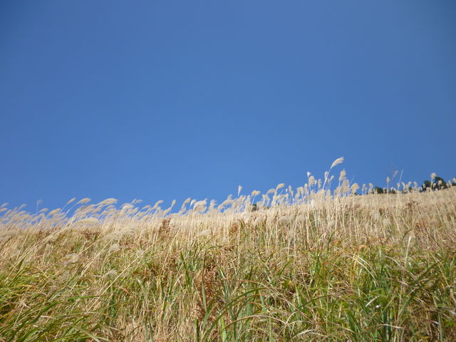 生石高原