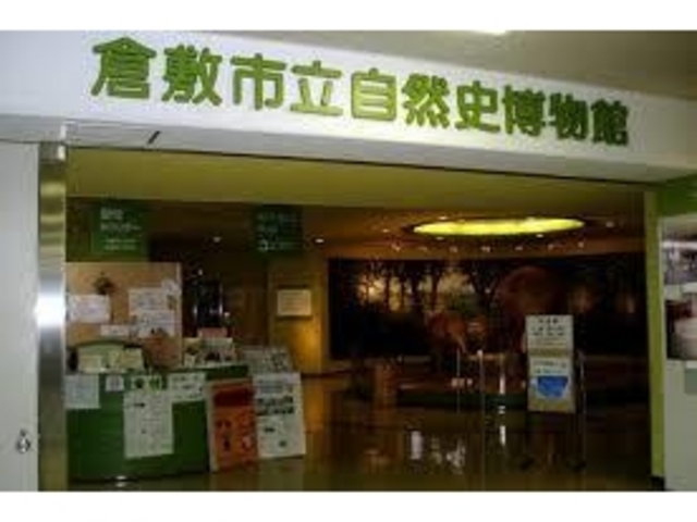 倉敷市立自然史博物館