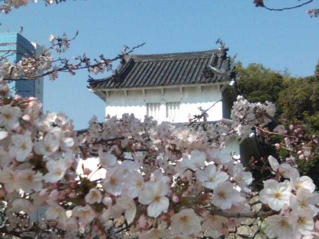 2014,3,28 桜と櫓_府内城跡
