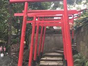 chakaさんの品川神社の投稿写真4