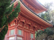 どせいさんさんの真光寺(岡山県備前市)の投稿写真2