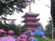 ゆうさんの本土寺(あじさい寺)への投稿写真3