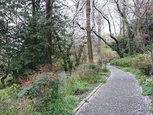 ゆったり歩ける道_三ツ沢公園