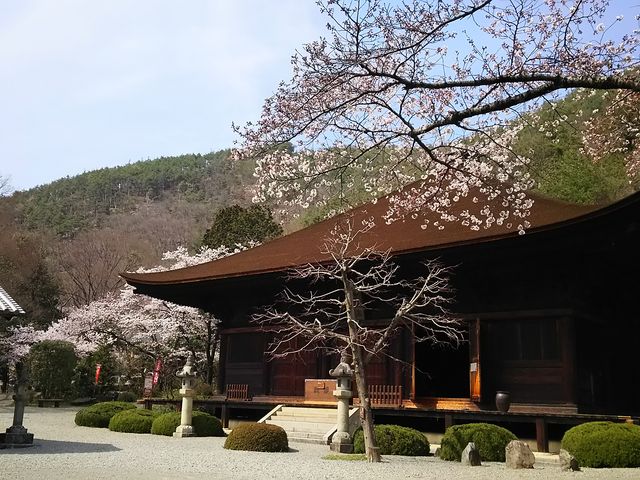 建物も立派です。_大善寺本堂
