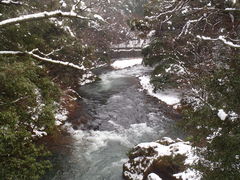 山中温泉の写真1