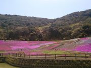 stefunyさんの道の駅 伊勢志摩の投稿写真1