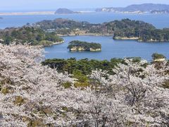 松島湾の写真1