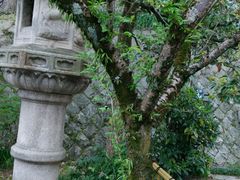 幕末維新ミュージアム「霊山歴史館」の写真1