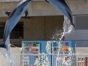 わとふぁみりーさんの大分マリーンパレス水族館「うみたまご」の投稿写真1