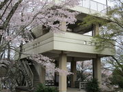 いわぴいさんの尾崎山公園の投稿写真5