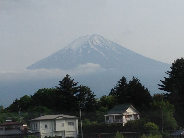 目の前が富士山です。_パディーフィールド