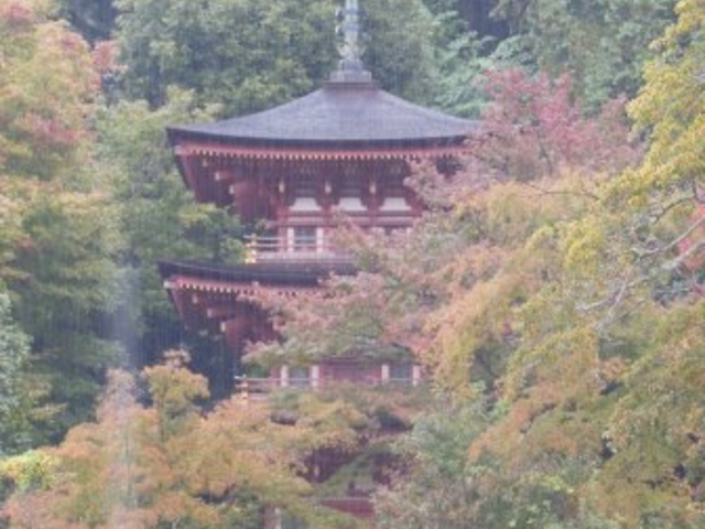 三重塔_浄瑠璃寺