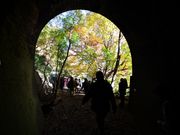 zunzuさんの高蔵寺の投稿写真4