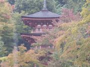 旅は電車でゴーさんの浄瑠璃寺の投稿写真3