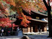 zunzuさんの定光寺の投稿写真1