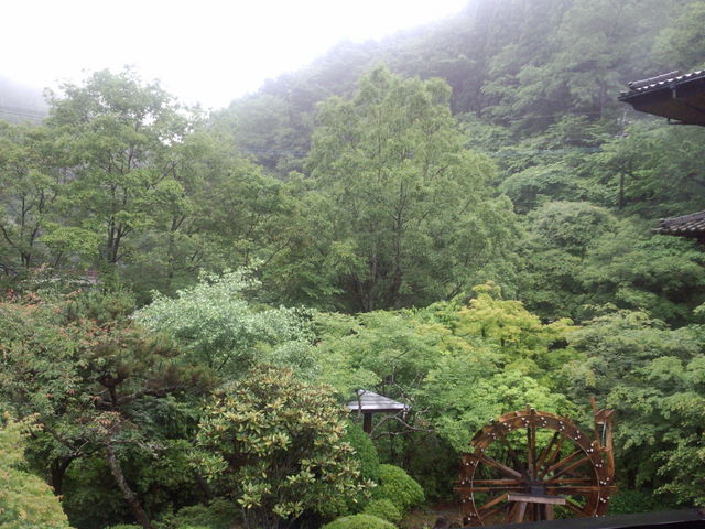 中庭の庭園_夢龍胆