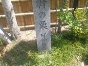 KazzToMeさんの軒の栗句碑の投稿写真1