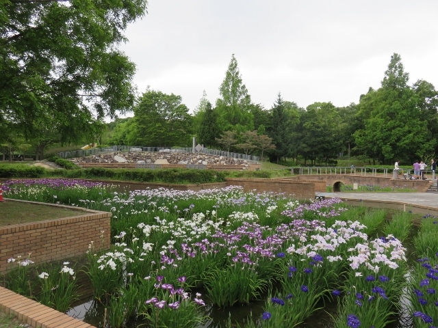 景色_庄堺公園