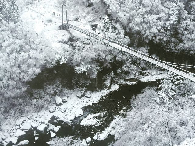 散策した次の日の朝。夜に雪が降ったらしく一面の銀世界。_鬼怒楯岩大吊橋