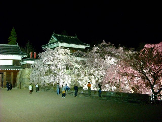 夜9時過ぎの上田城_上田城跡公園