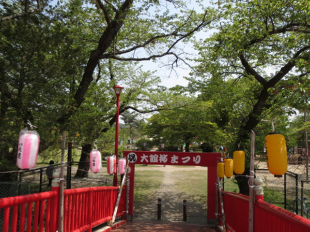 大館桜まつり_桂城公園