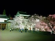 ジョンさんの上田城跡公園の投稿写真1